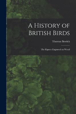 bokomslag A History of British Birds