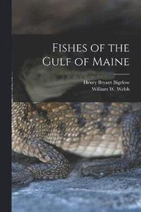 bokomslag Fishes of the Gulf of Maine