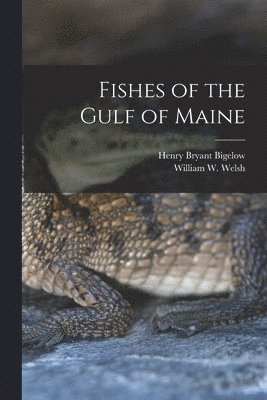 bokomslag Fishes of the Gulf of Maine