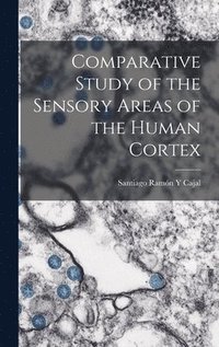 bokomslag Comparative Study of the Sensory Areas of the Human Cortex