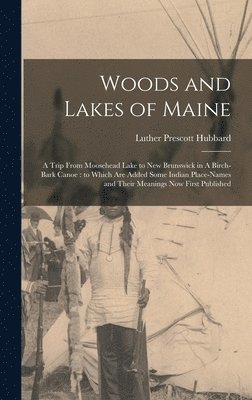 Woods and Lakes of Maine 1