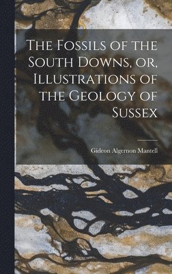 bokomslag Fossils of the South Downs, or, Illustrations of the Geology of Sussex