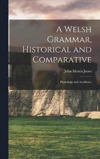 bokomslag A Welsh Grammar, Historical and Comparative