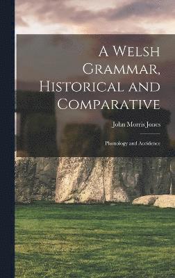 bokomslag Welsh Grammar, Historical and Comparative