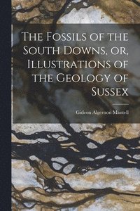 bokomslag The Fossils of the South Downs, or, Illustrations of the Geology of Sussex