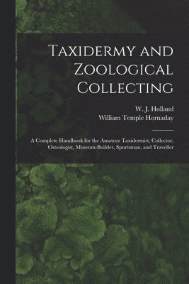 W J 1848-1932 Holland, William Temple Hornaday - Taxidermy and Zoological Collecting; a Complete Handbook for the Amateur Taxidermist, Collector, Osteologist, Museum-builder, Sportsman, and Traveller, Häftad