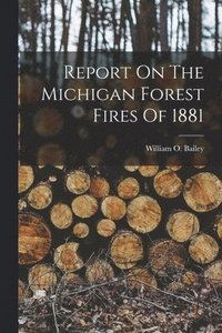 bokomslag Report On The Michigan Forest Fires Of 1881
