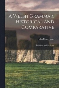 bokomslag A Welsh Grammar, Historical and Comparative