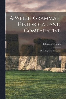 bokomslag A Welsh Grammar, Historical and Comparative