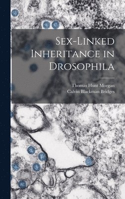 bokomslag Sex-Linked Inheritance in Drosophila