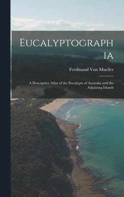 Eucalyptographia 1