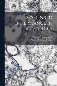 bokomslag Sex-Linked Inheritance in Drosophila