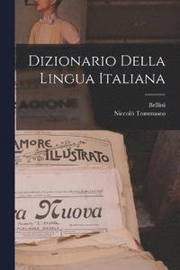 bokomslag Dizionario Della Lingua Italiana