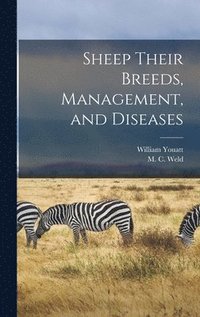 bokomslag Sheep Their Breeds, Management, and Diseases
