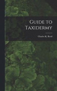 bokomslag Guide to Taxidermy