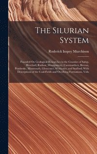 bokomslag The Silurian System