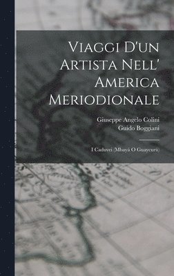 bokomslag Viaggi D'un Artista Nell' America Meriodionale