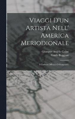 Viaggi D'un Artista Nell' America Meriodionale