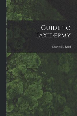 bokomslag Guide to Taxidermy