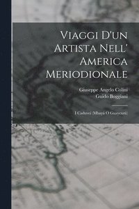 bokomslag Viaggi D'un Artista Nell' America Meriodionale