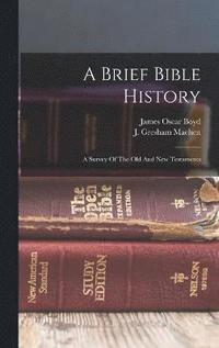 bokomslag Brief Bible History; A Survey Of The Old And New Testaments
