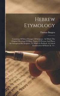 bokomslag Hebrew Etymology