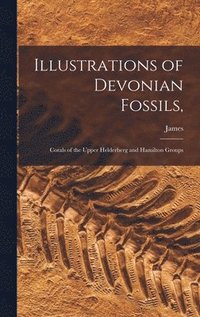 bokomslag Illustrations of Devonian Fossils,