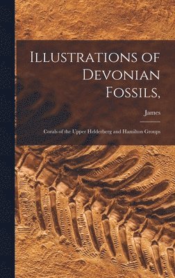 bokomslag Illustrations of Devonian Fossils,