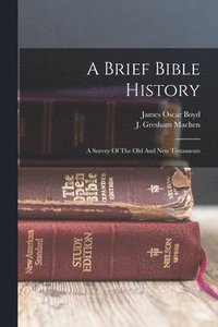 bokomslag A Brief Bible History; A Survey Of The Old And New Testaments