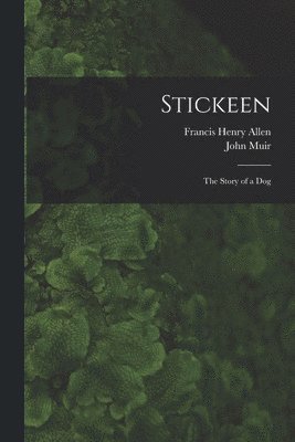 Stickeen 1