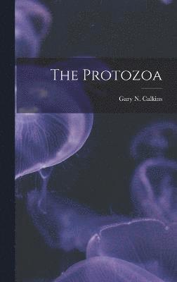 The Protozoa 1