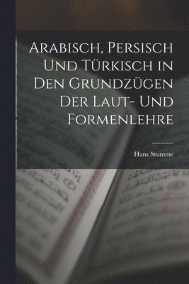 Hans Stumme - Arabisch, Persisch und Türkisch in den Grundzügen der Laut- und Formenlehre, Häftad