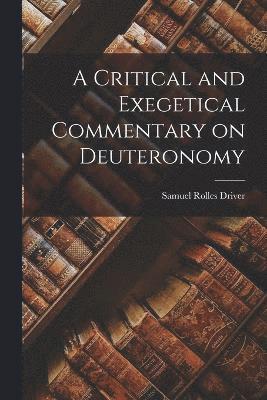 A Critical and Exegetical Commentary on Deuteronomy 1