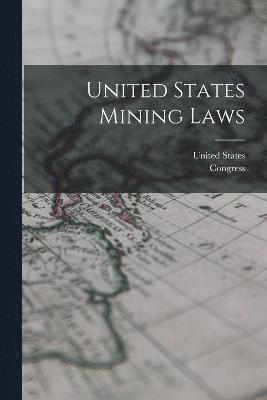 United States Mining Laws 1