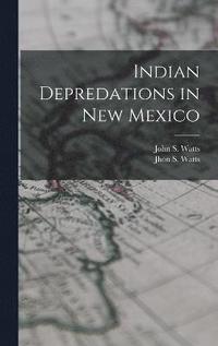 bokomslag Indian Depredations in New Mexico
