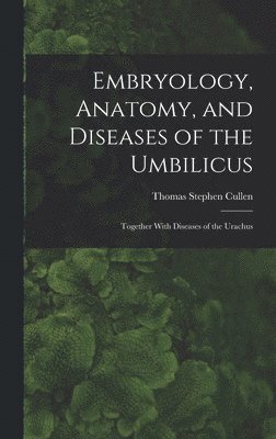 Embryology, Anatomy, and Diseases of the Umbilicus