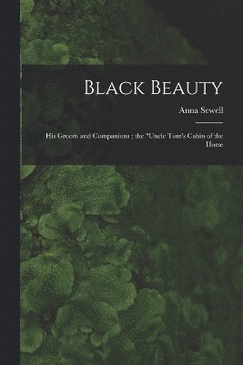 Black Beauty 1