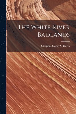 The White River Badlands 1