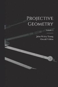 bokomslag Projective Geometry; Volume 2