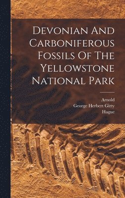bokomslag Devonian And Carboniferous Fossils Of The Yellowstone National Park