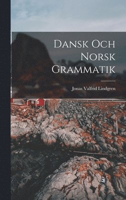 bokomslag Dansk och Norsk Grammatik