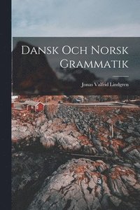 bokomslag Dansk och Norsk Grammatik