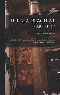 bokomslag The Sea-beach at Ebb-tide