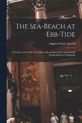 The Sea-beach at Ebb-tide 1
