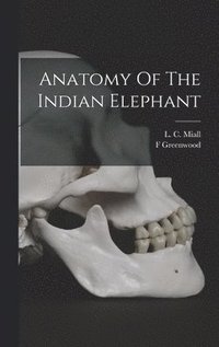 bokomslag Anatomy Of The Indian Elephant