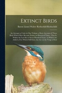 bokomslag Extinct Birds