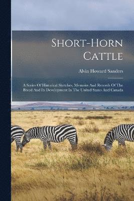 Short-horn Cattle 1