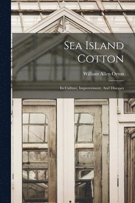 Sea Island Cotton 1