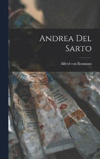 bokomslag Andrea Del Sarto