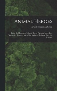 bokomslag Animal Heroes